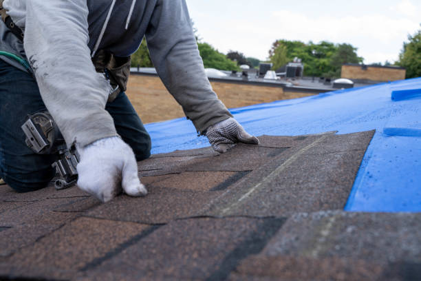 Best Flat Roof Repair Services  in Genoa, AR